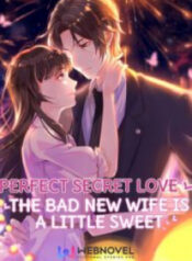 perfect-secret-love-the-bad-new-wife-is-a-little-sweet.jpg