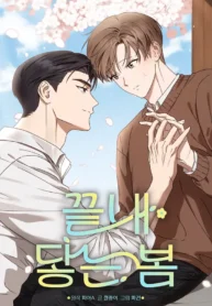 The Spring That Finally Comes.webp