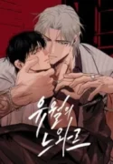 Read Noir of June Manga Online Free – Dark Yaoi Crime & Psychological Drama